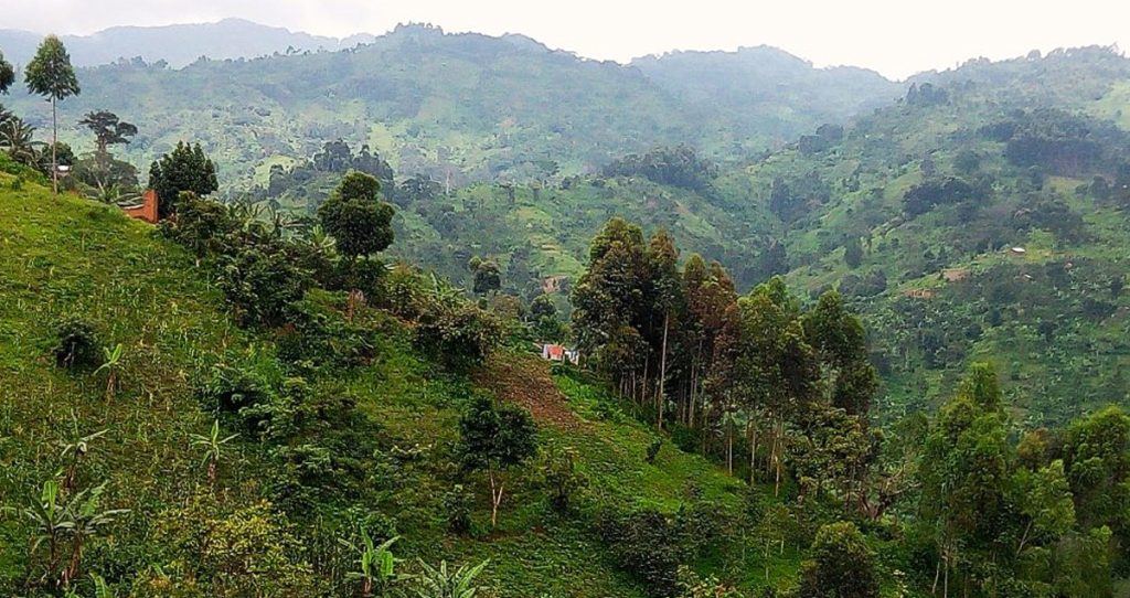 Green forested hills in Northern Uganda